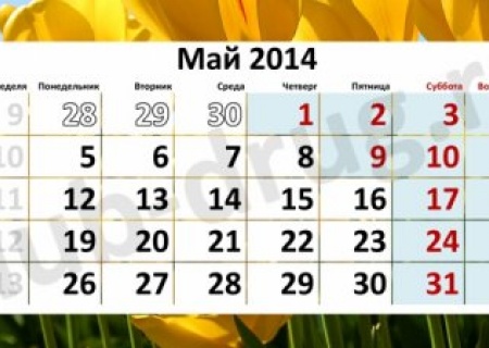 График работы офиса компании на майские праздники